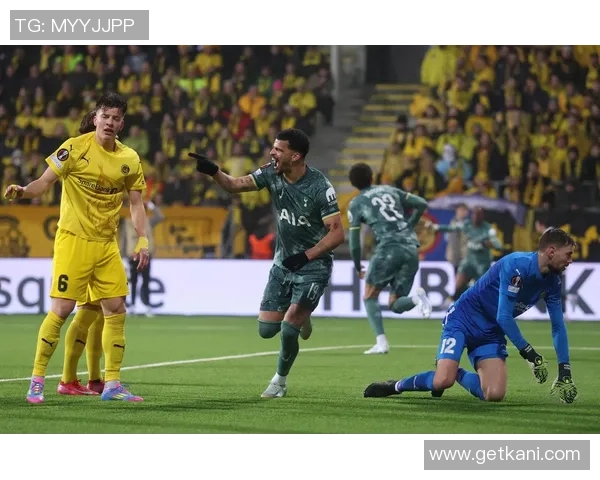 意甲激战：多特蒙德绝杀热刺全场沸腾数据解析引人关注